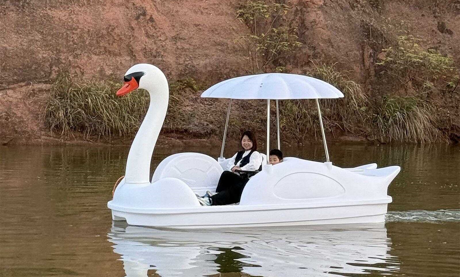 park lake swan pedal boat park lake swan pedal boat